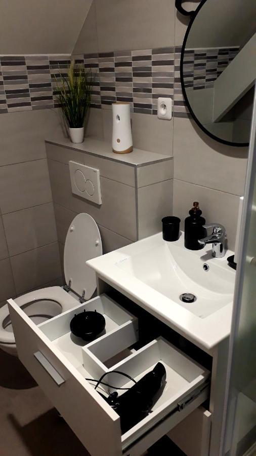 ホテル Cosy Chambre Chez Habitant 5Mn Aeroport Roissy Cdg ル・メニル＝アムロ エクステリア 写真