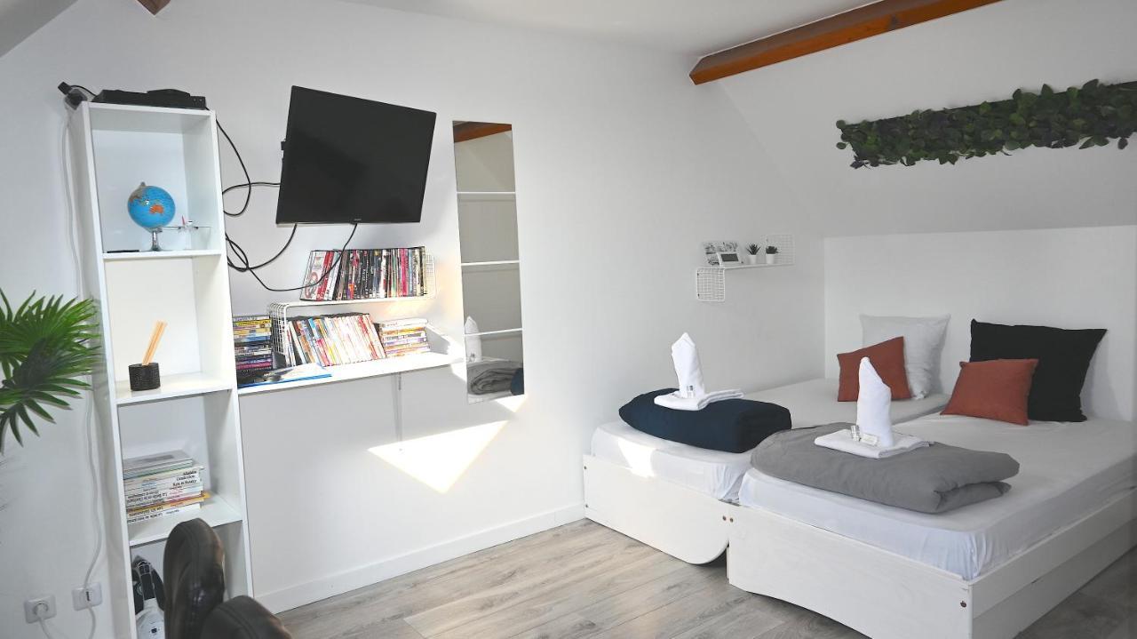 ホテル Cosy Chambre Chez Habitant 5Mn Aeroport Roissy Cdg ル・メニル＝アムロ エクステリア 写真